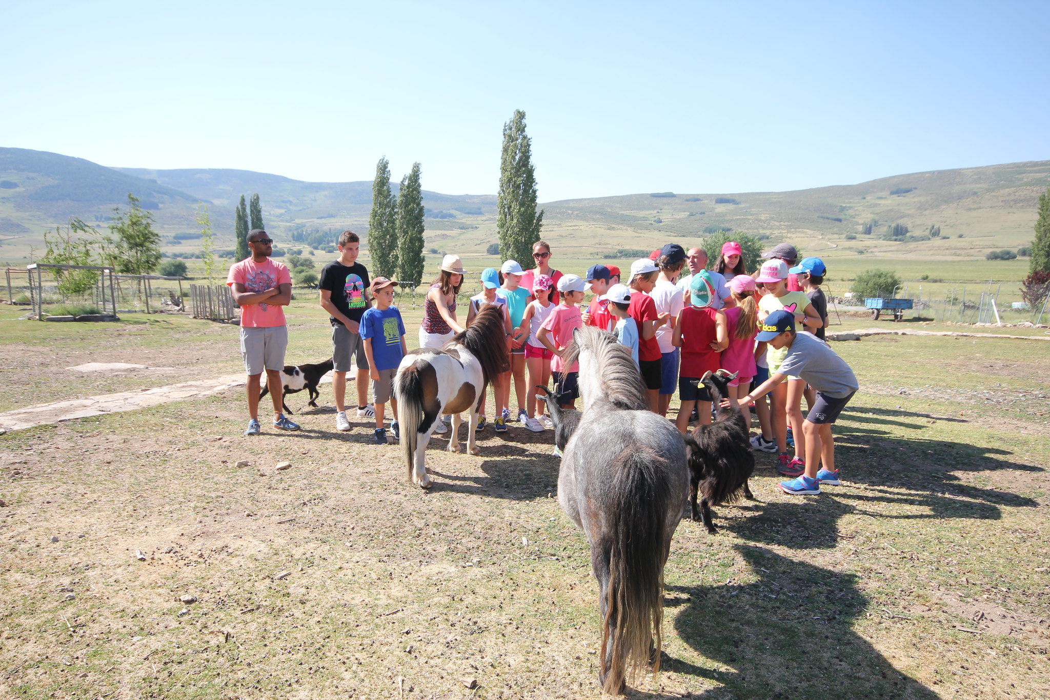 campamento-de-verano-avila-5