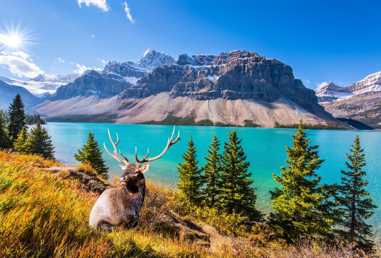 curso-escolar-en-canada-1
